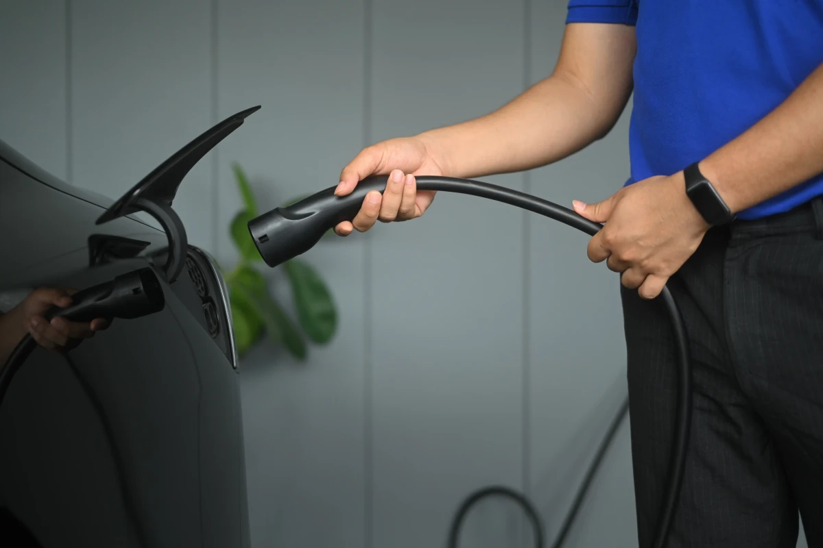 Révolution verte : Les opportunités d'affaires florissantes dans les énergies renouvelables